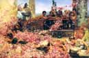 Alma-Tadema,