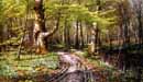 Monsted,