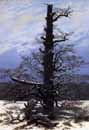 Friedrich,