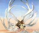 O'Keeffe,