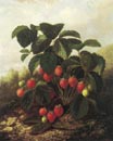 Lacroix,