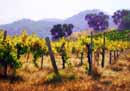 Tuscany