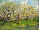 Vincent