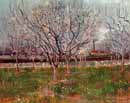 Vincent