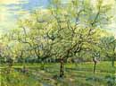 Vincent