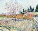 Vincent