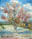 Vincent