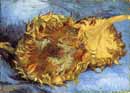 Vincent