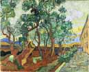 Vincent
