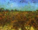 Vincent