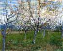 Vincent
