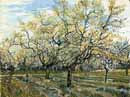 Vincent