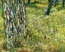 Vincent