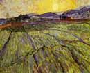 Vincent