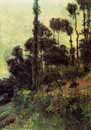 Gauguin,