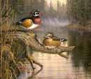 Mandarin