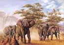 Elephants
