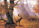 Moose