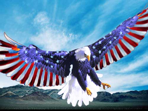 American Eagle Artwork