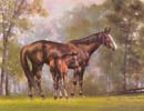 Horses