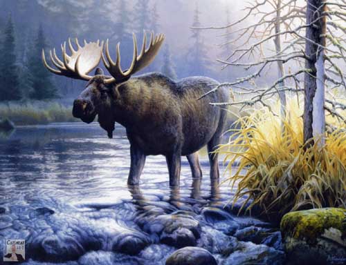 Painting Code#5096-Moose
