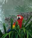 Parrot