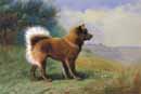 Archibald