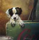 Puppy
