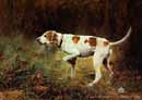 Hound