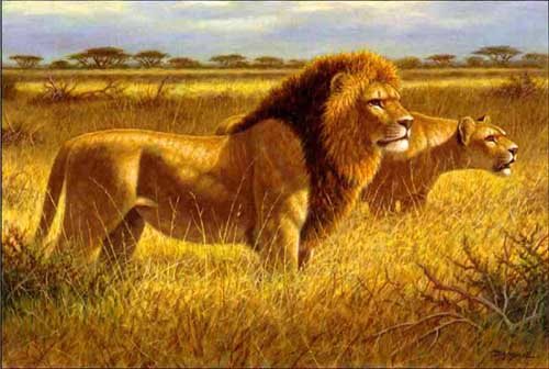 Painting Code#5491-Two Lions