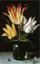 Bosschaert,