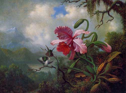 Painting Code#6225-Martin Johnson Heade - Orchid and Hummingbirds near a Mountain Lake