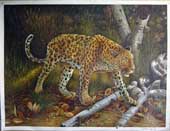 Larger Paintings