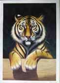 Larger Paintings