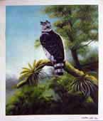Larger Paintings