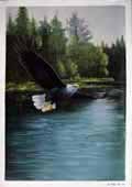 Larger Paintings