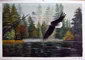 Larger Paintings