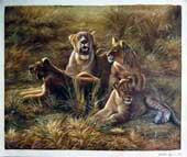 Larger Paintings