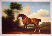 Larger Paintings