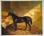 Larger Paintings