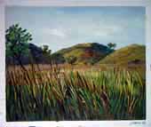Larger Paintings