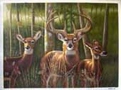 Larger Paintings