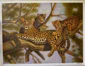 Larger Paintings