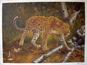 Larger Paintings