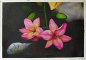 Larger Paintings