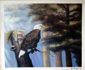 Larger Paintings