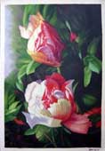 Larger Paintings