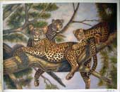 Larger Paintings