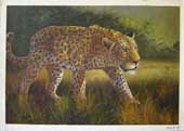 Larger Paintings