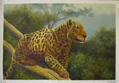 Larger Paintings